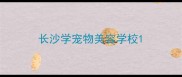长沙学宠物美容学校