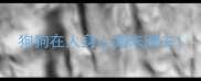 狗狗在人身上蹭来蹭去