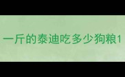 一斤的泰迪吃多少狗粮