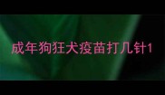 成年狗狂犬疫苗打几针