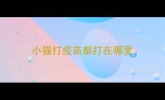 小猫打疫苗都打在哪里