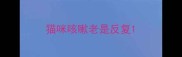 猫咪咳嗽老是反复