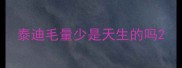 泰迪毛量少是天生的吗