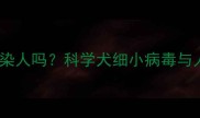 小狗细小病毒传染人吗科学犬细小病毒与人类的健康关系