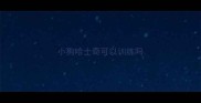 小狗哈士奇可以训练吗