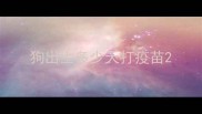 狗出生多少天打疫苗