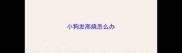小狗发高烧怎么办