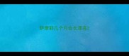 萨摩耶几个月会长漂亮
