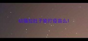 幼猫拉肚子能打疫苗么