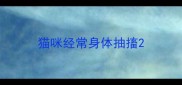 猫咪经常身体抽搐