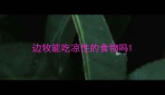 边牧能吃凉性的食物吗