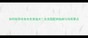 如何科学培育灰色泰迪犬全流程配种指南与饲养要点