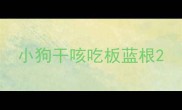 小狗干咳吃板蓝根