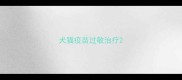 犬猫疫苗过敏治疗