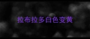 拉布拉多白色变黄