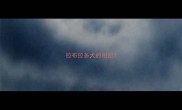 拉布拉多犬的相册