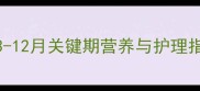 金毛犬成长发育全3-12月关键期营养与护理指南附阶段对比图