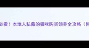 青岛新手必看本地人私藏的猫咪购买领养全攻略附避坑指南