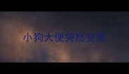 小狗大便突然变黑