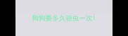 狗狗要多久驱虫一次