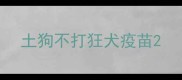 土狗不打狂犬疫苗