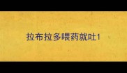 拉布拉多喂药就吐