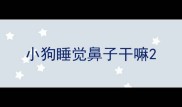 小狗睡觉鼻子干嘛