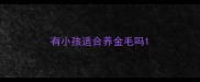 有小孩适合养金毛吗