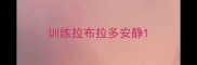 训练拉布拉多安静