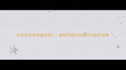 拉布拉多智商排名前三聪明犬种训练技巧与养护指南