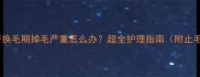 哈士奇换毛期掉毛严重怎么办超全护理指南附止毛妙招
