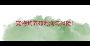 宠物狗养殖利润与风险