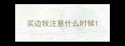 买边牧注意什么时候