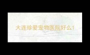 大连珍爱宠物医院好么