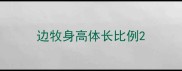 边牧身高体长比例
