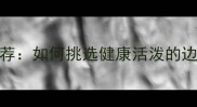 北京优质边牧犬舍推荐如何挑选健康活泼的边境牧羊犬及领养指南