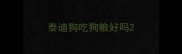泰迪狗吃狗粮好吗