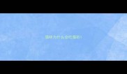 猫咪为什么会吃猫砂