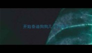 开始泰迪狗狗几个月磨牙