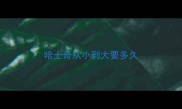 哈士奇从小到大要多久