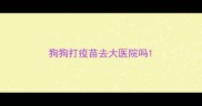 狗狗打疫苗去大医院吗