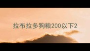 拉布拉多狗粮200以下