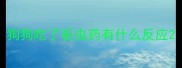 狗狗吃了驱虫药有什么反应