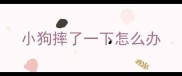 小狗摔了一下怎么办