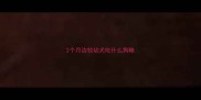 2个月边牧幼犬吃什么狗粮