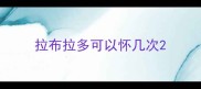 拉布拉多可以怀几次