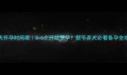 贵宾犬怀孕时间表3-6个月能受孕新手养犬必看备孕全攻略