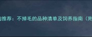 10种聪明又低敏的宠物狗推荐不掉毛的品种清单及饲养指南附训练技巧与养护秘籍