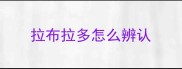 拉布拉多怎么辨认
