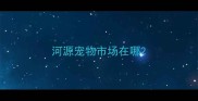 河源宠物市场在哪